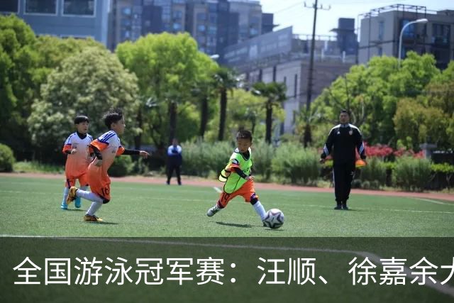 全国游泳冠军赛：汪顺、徐嘉余大幅领先夺冠
